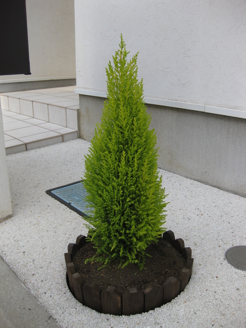 ���������̎��ȉ������L