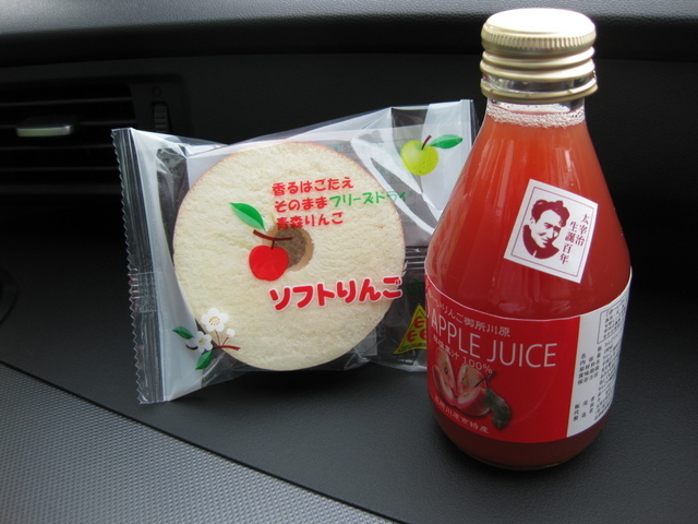 ���������̎��ȉ������L