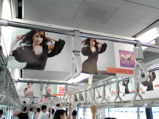 ���������̎��ȉ������L