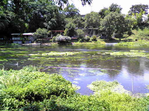 ���������̎��ȉ������L