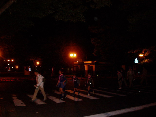 �{�[�C�X�J�E�g���ˑ�X�c�J�u��