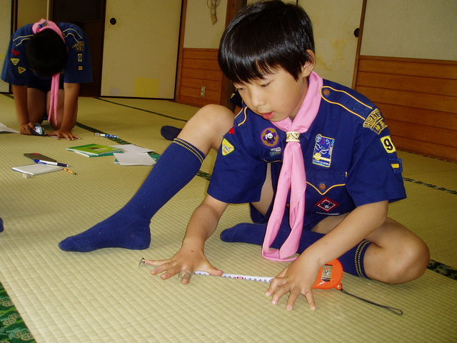 �{�[�C�X�J�E�g���ˑ�X�c�J�u��