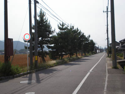 �{�[�C�X�J�E�g���ˑ�X�c�J�u��