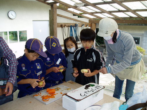 �{�[�C�X�J�E�g���ˑ�X�c�J�u��