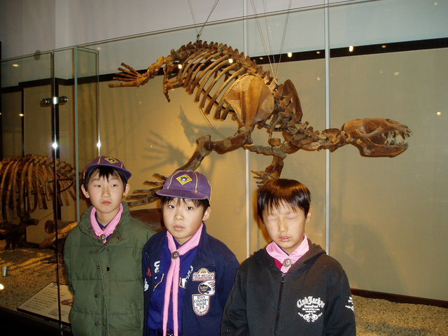 �{�[�C�X�J�E�g���ˑ�X�c�J�u��