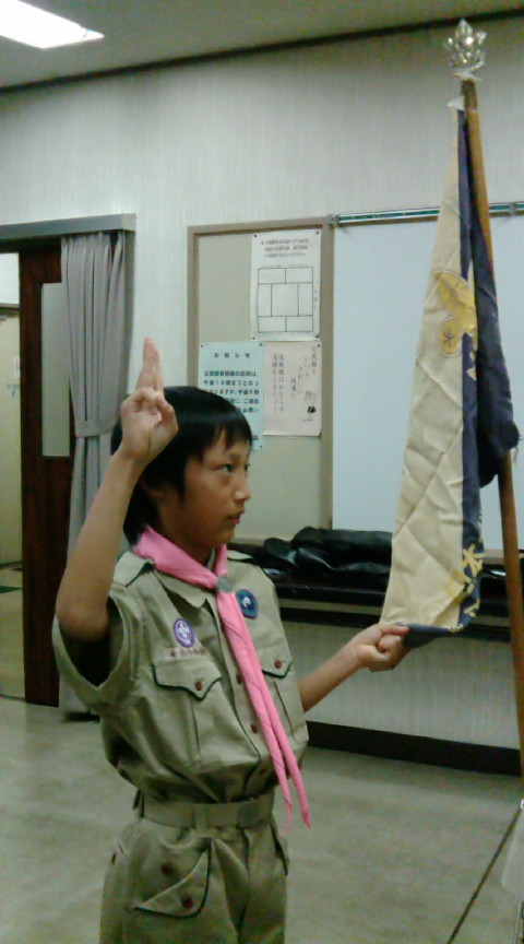 �{�[�C�X�J�E�g���ˑ�X�c�J�u��