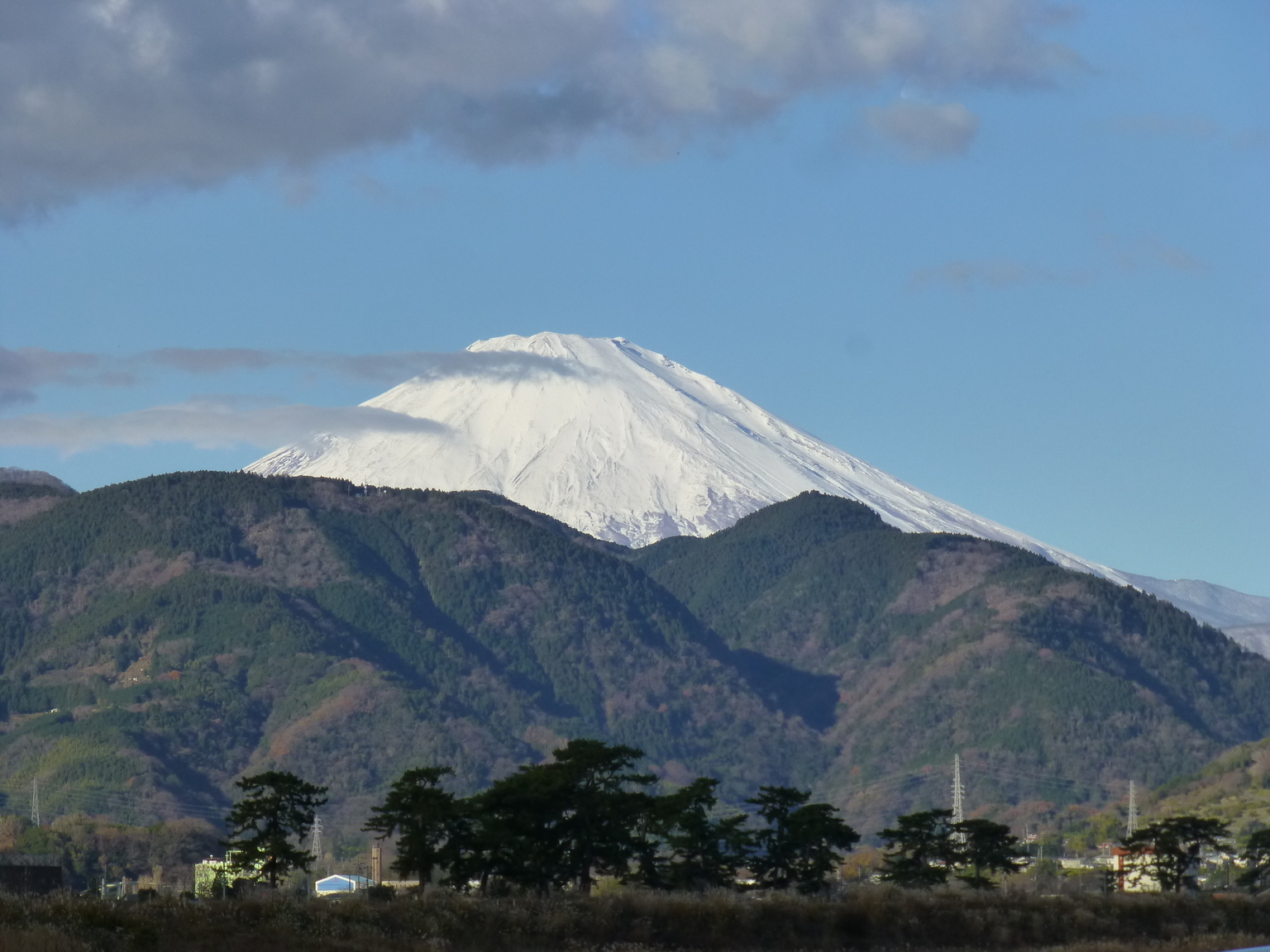 ���J�t�F�I�Ó�� ���C�h