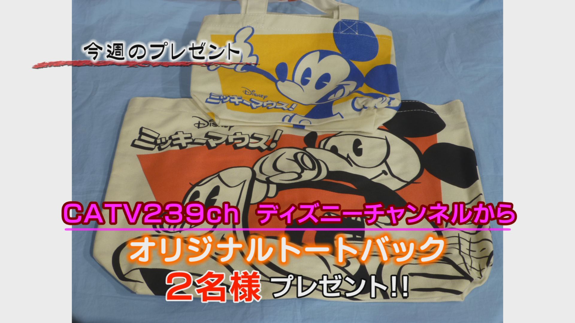 ���J�t�F�I�Ó�� ���C�h