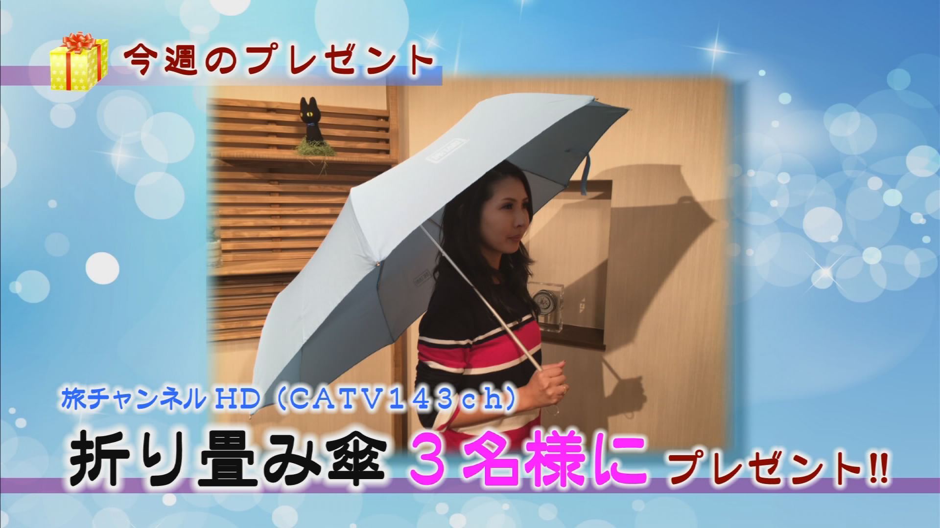 ���J�t�F�I�Ó�� ���C�h