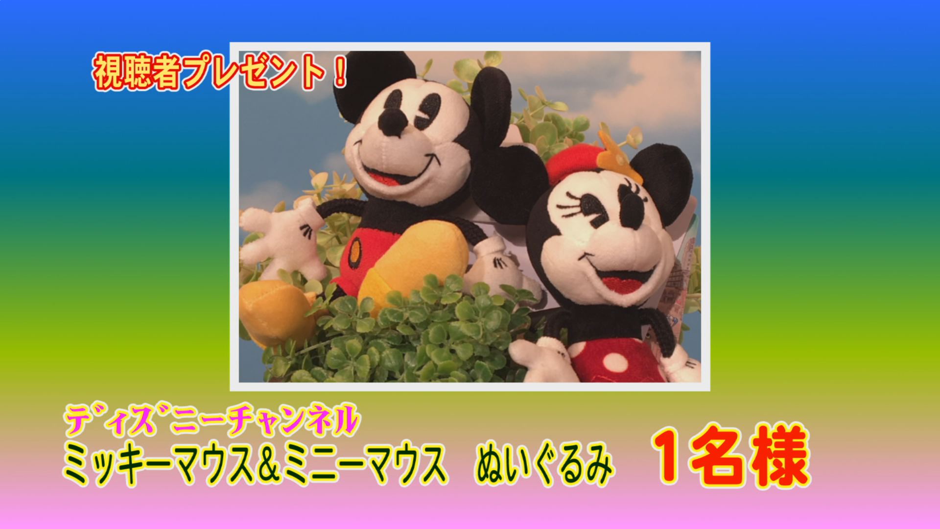 ���J�t�F�I�Ó�� ���C�h