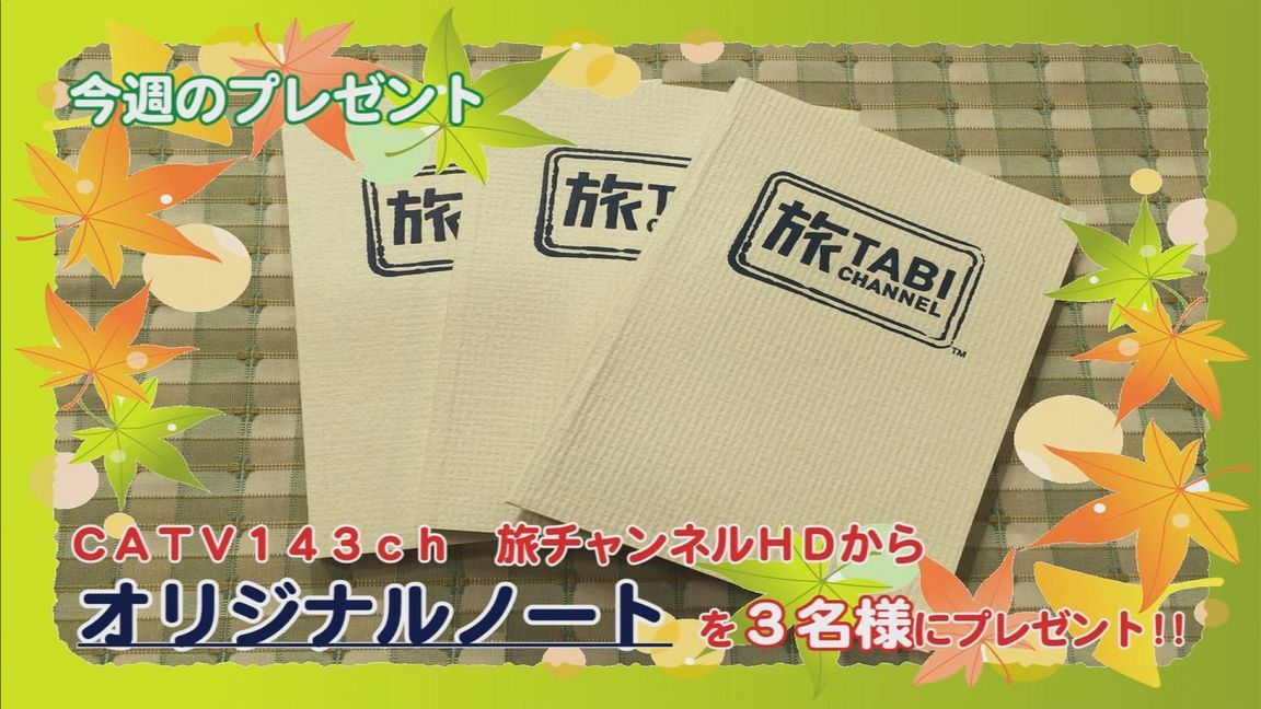 ���J�t�F�I�Ó�� ���C�h