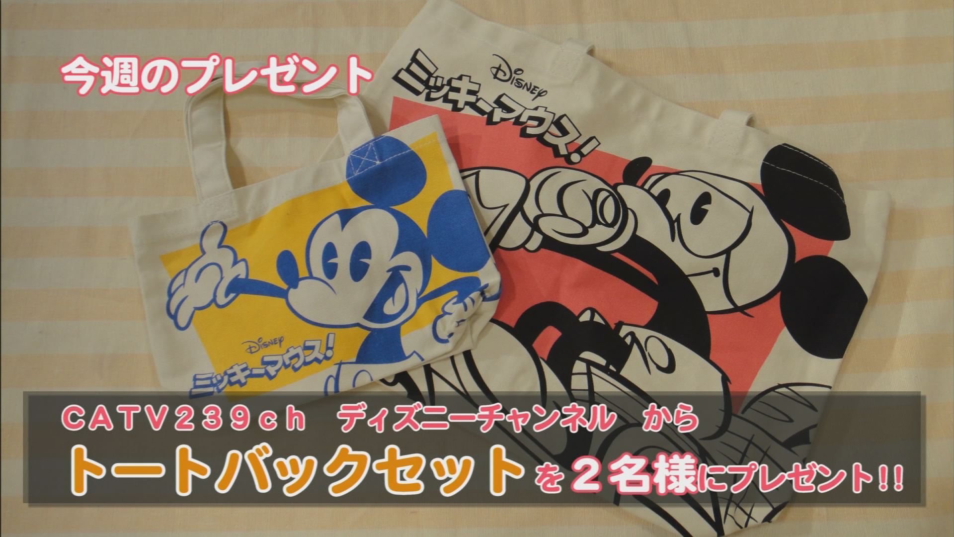 ���J�t�F�I�Ó�� ���C�h