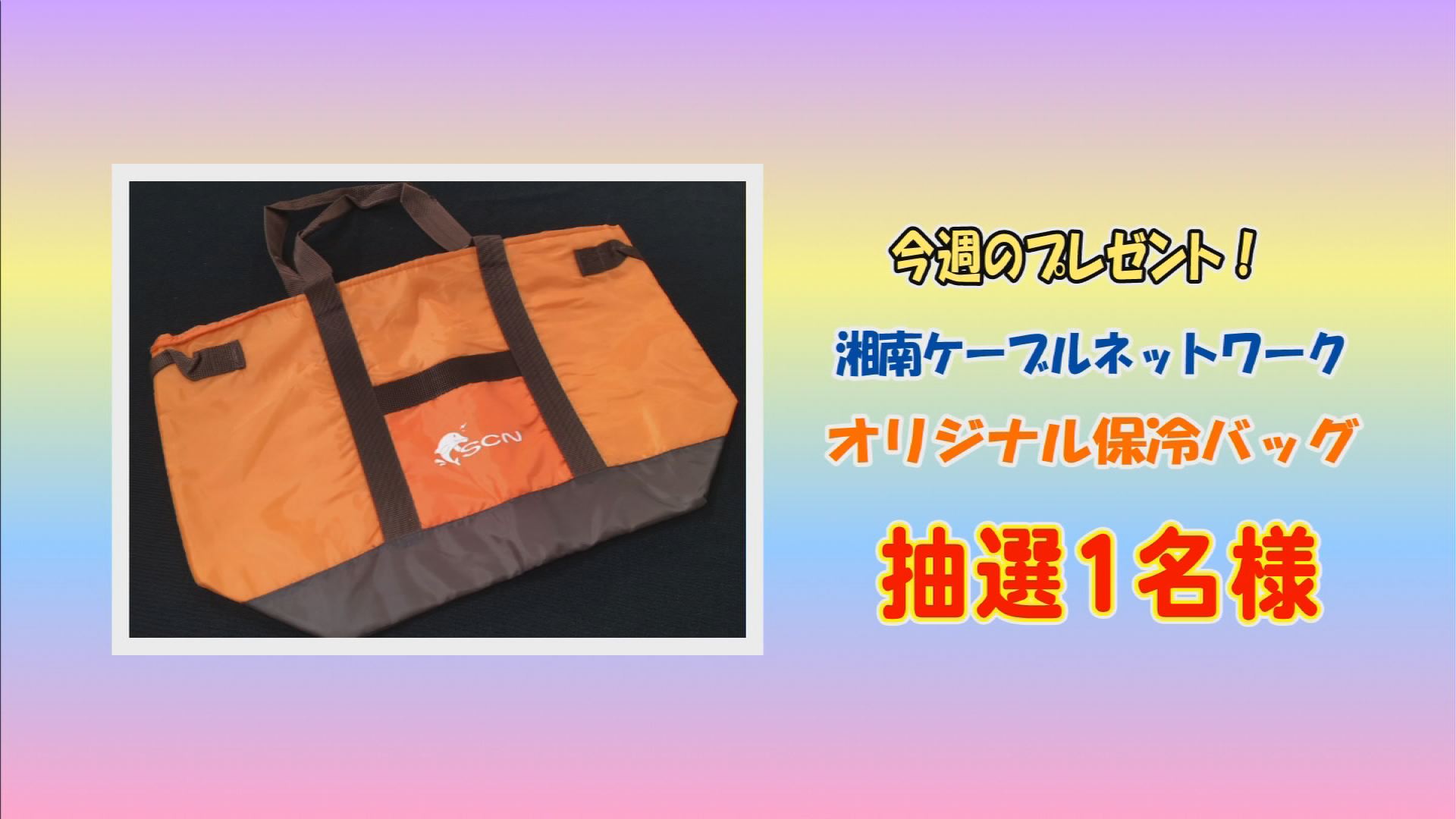 ���J�t�F�I�Ó�� ���C�h