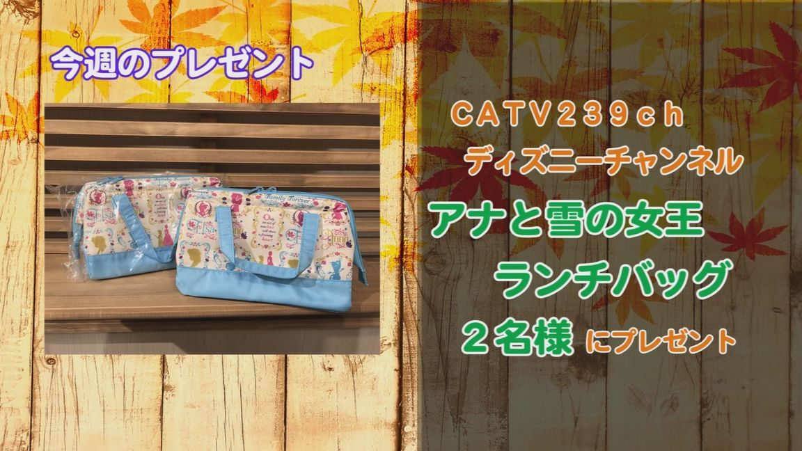 ���J�t�F�I�Ó�� ���C�h