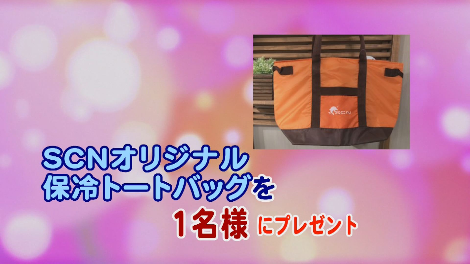 ���J�t�F�I�Ó�� ���C�h