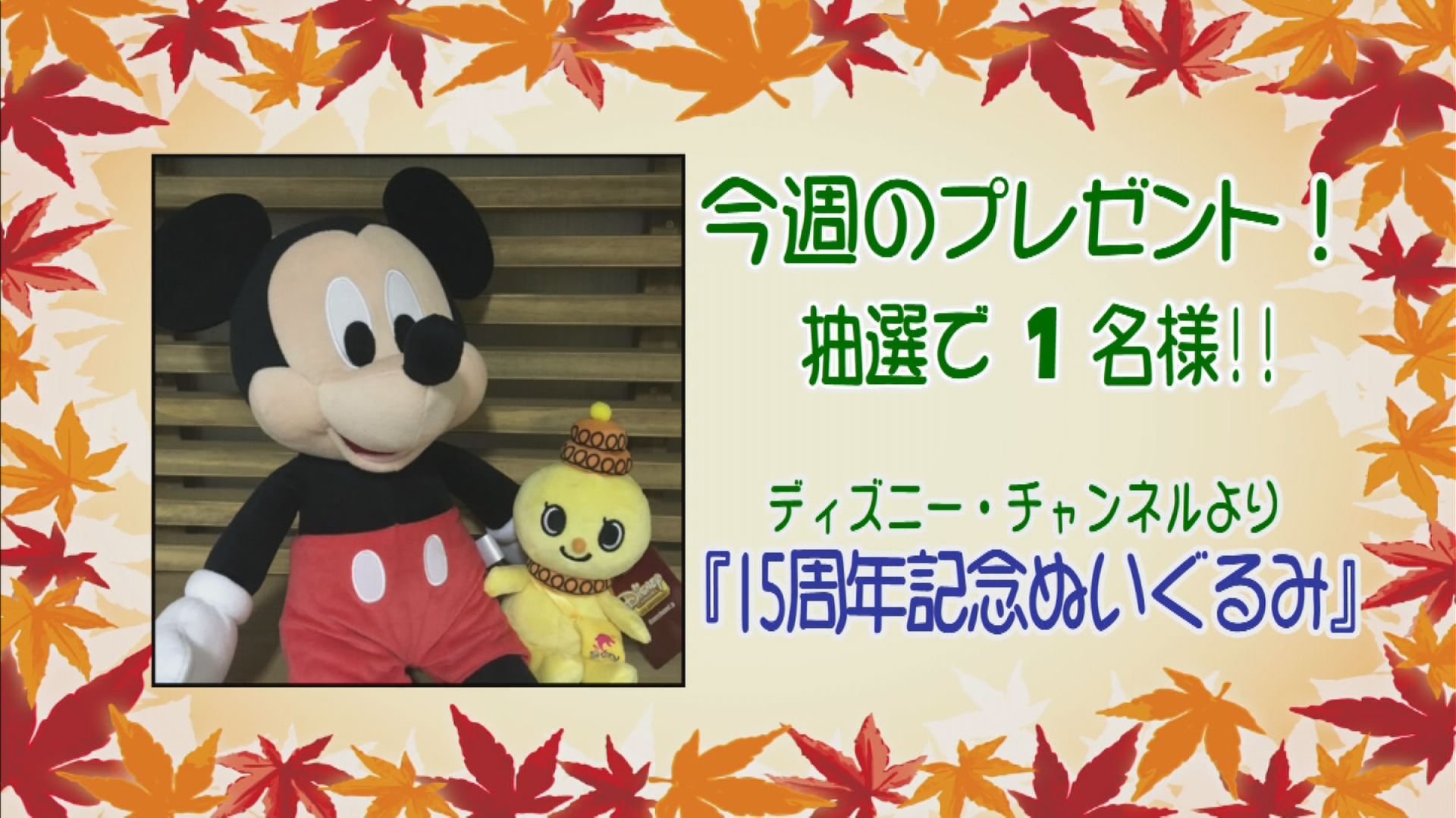 ���J�t�F�I�Ó�� ���C�h