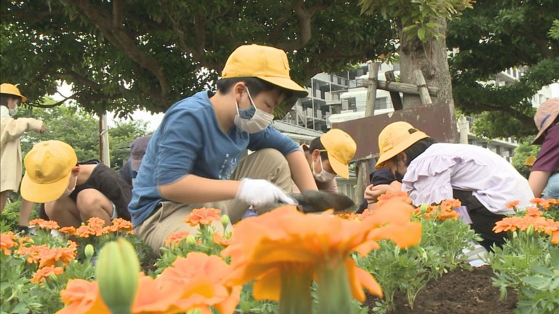 ���J�t�F�I�Ó�� ���C�h