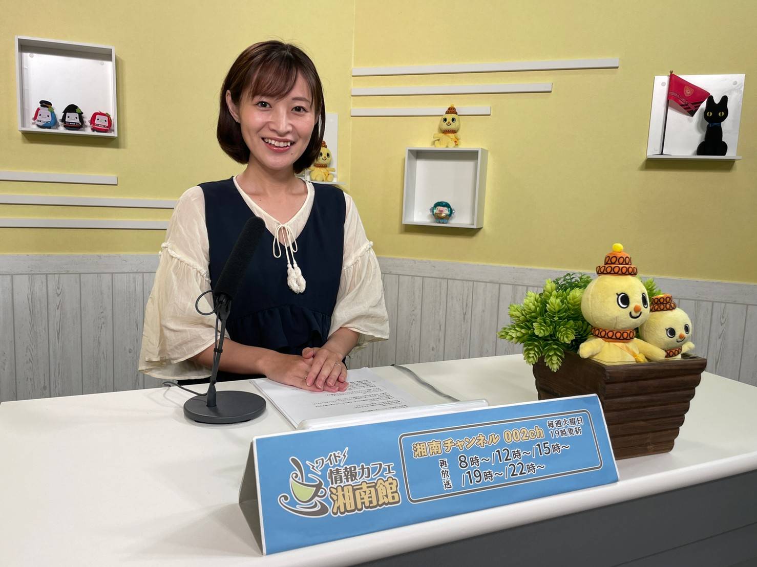 ���J�t�F�I�Ó�� ���C�h