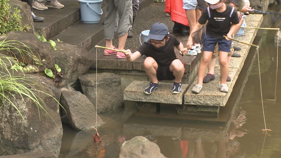 ���J�t�F�I�Ó�� ���C�h