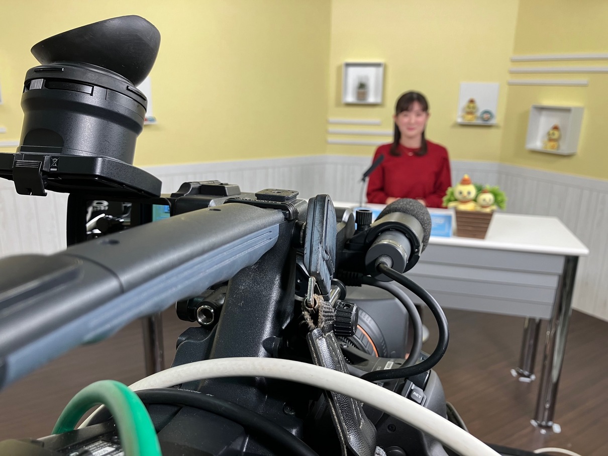 ���J�t�F�I�Ó�� ���C�h