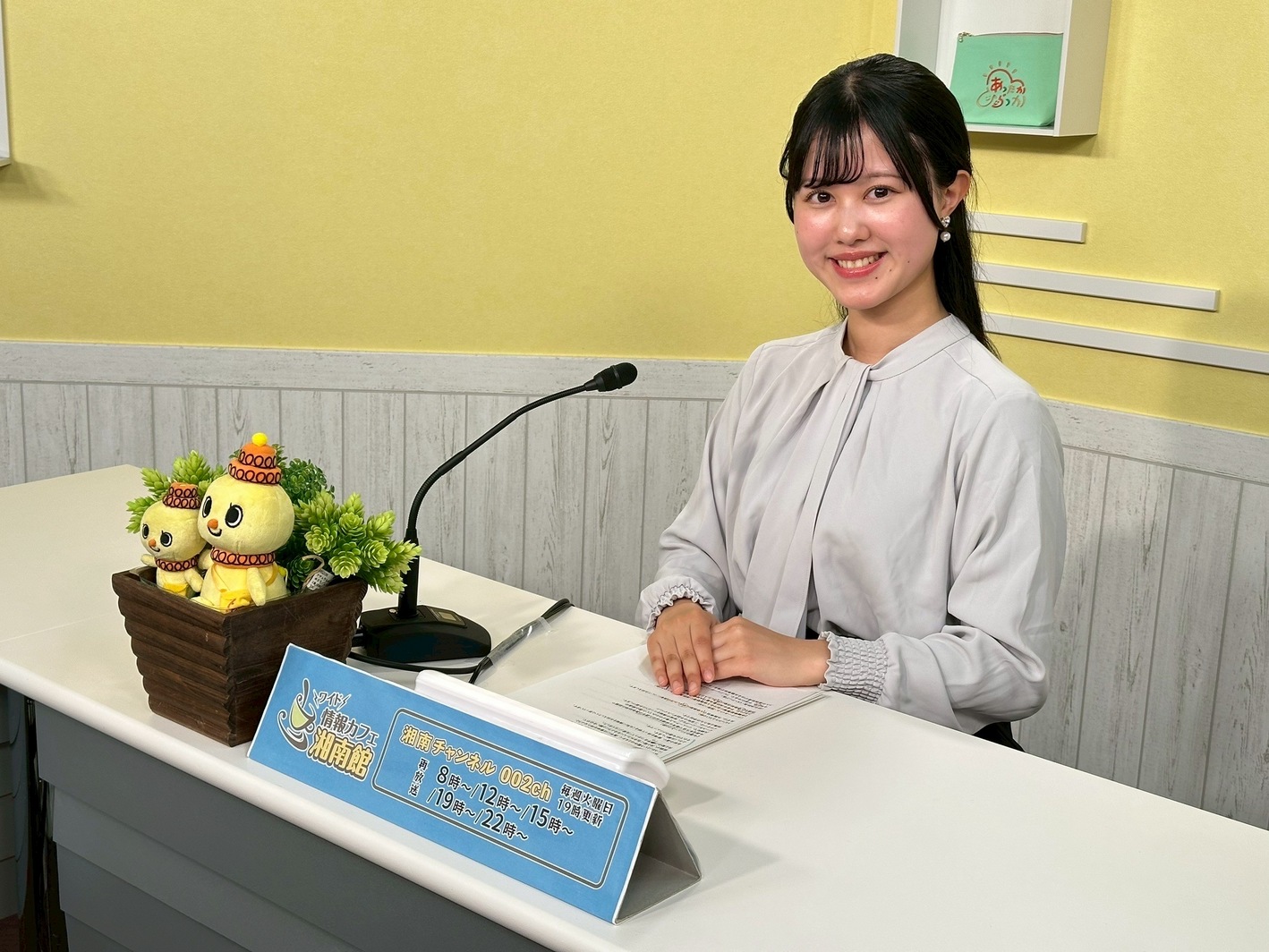 ���J�t�F�I�Ó�� ���C�h