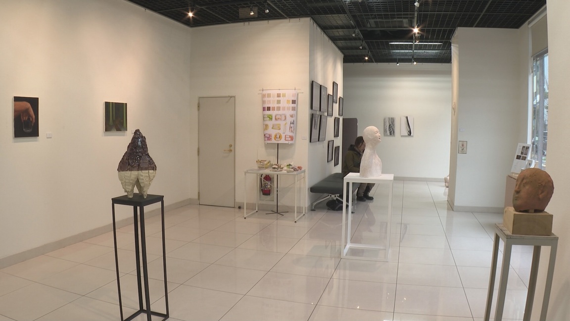 ���J�t�F�I�Ó�� ���C�h