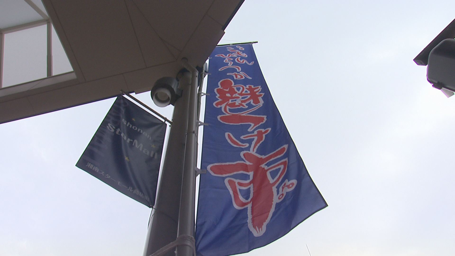 ���J�t�F�I�Ó�� ���C�h