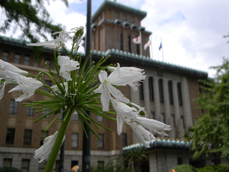 �X�y�V�����v���O����