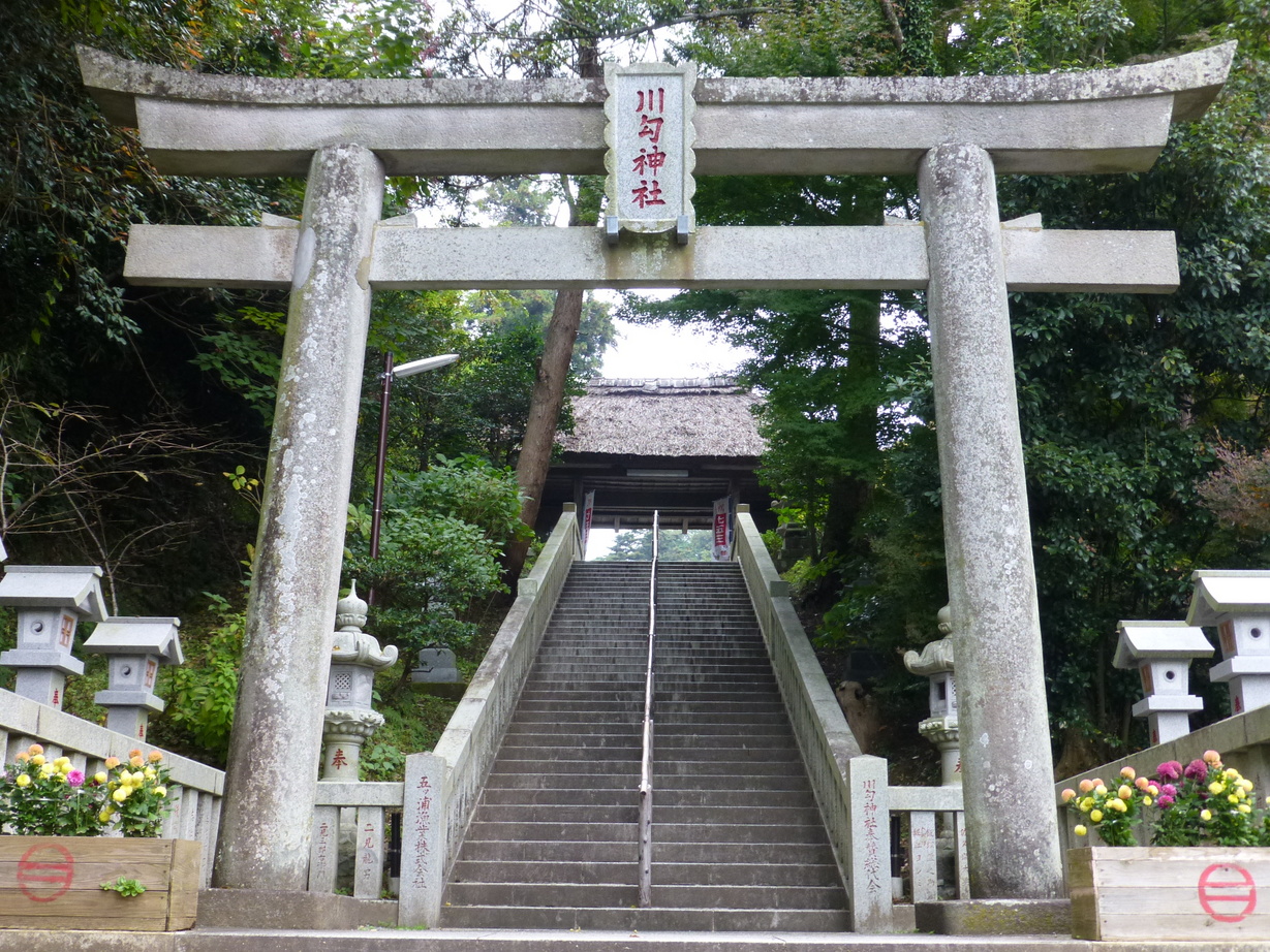 �X�y�V�����v���O����