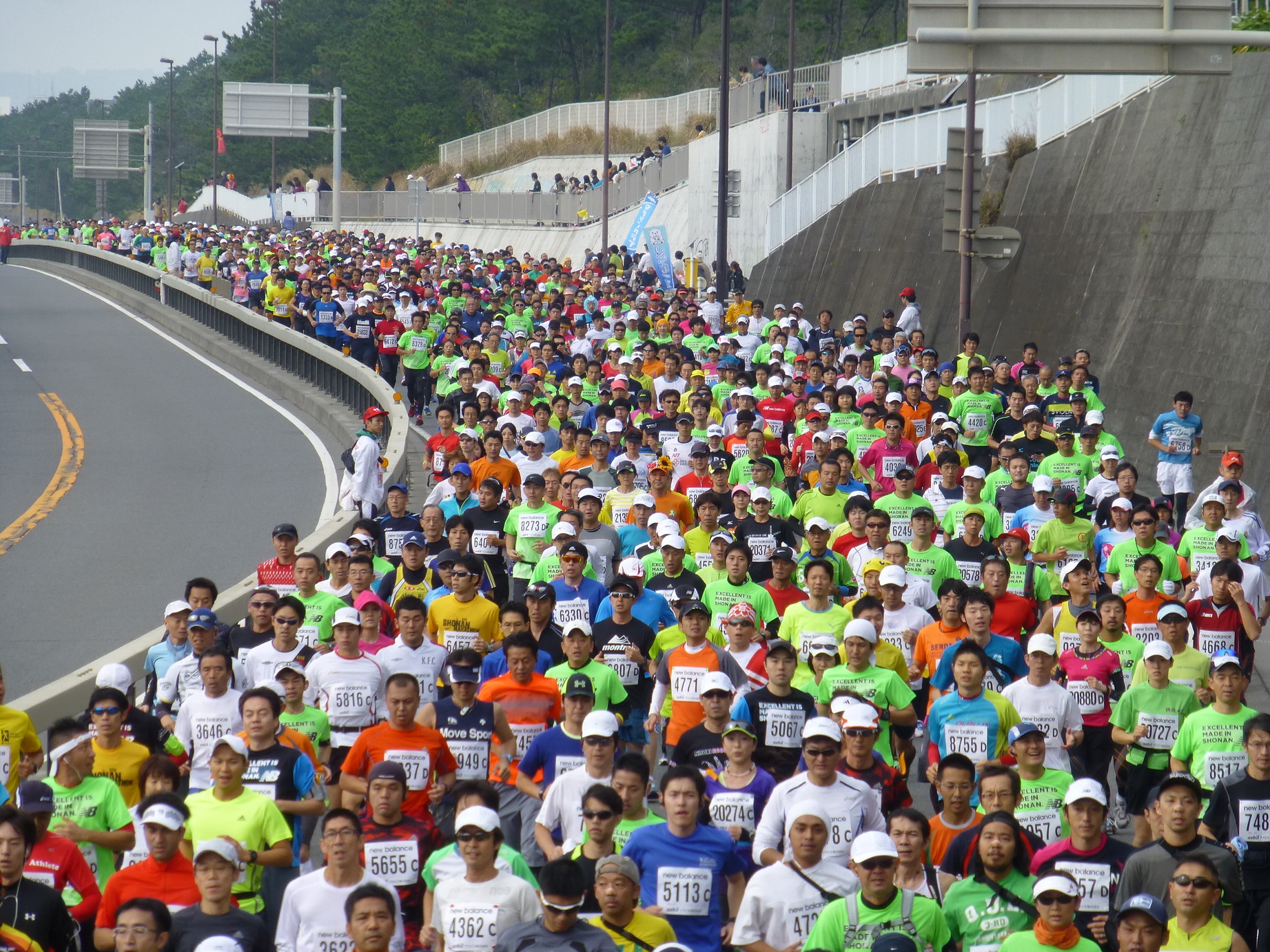 �X�y�V�����v���O����