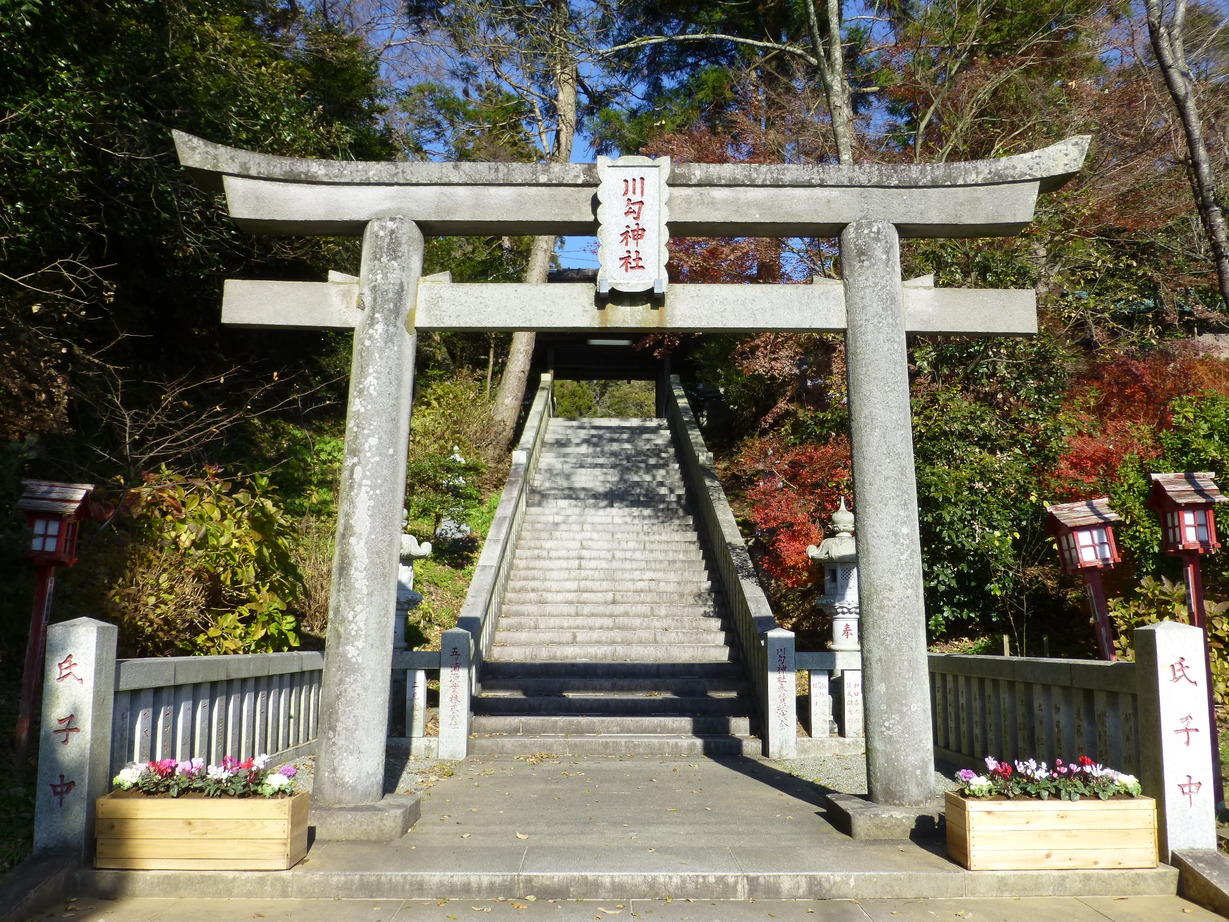 �X�y�V�����v���O����