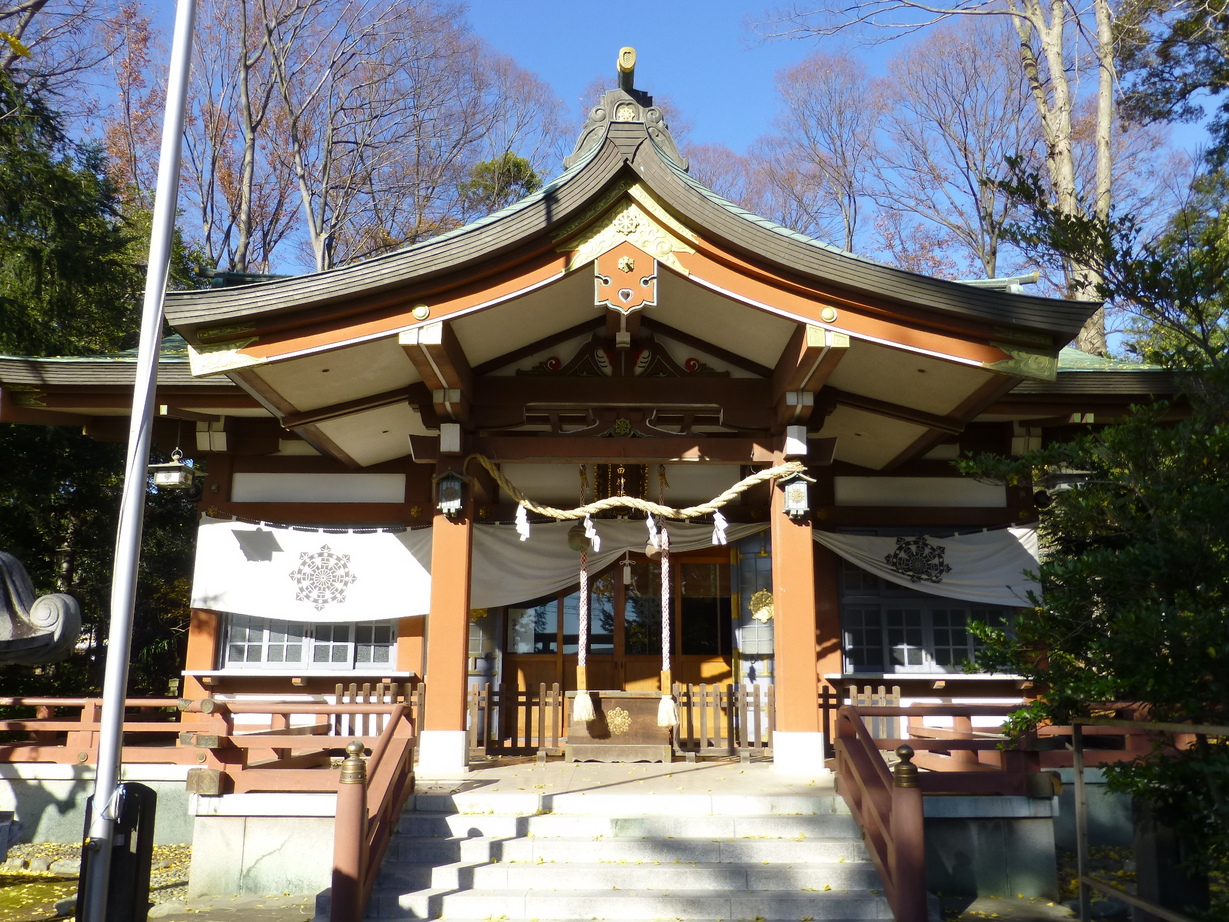 �X�y�V�����v���O����