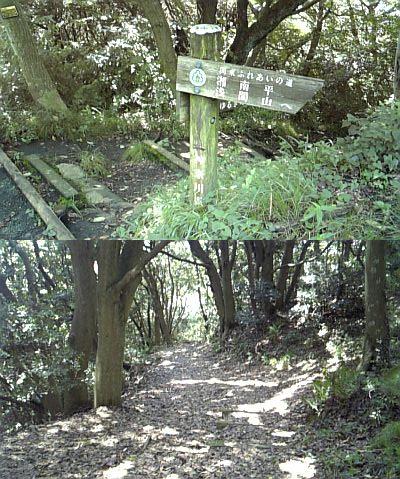 ���傤�̃f�L�S�g