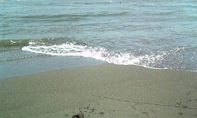 ���傤�̃f�L�S�g