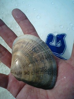 ���傤�̃f�L�S�g