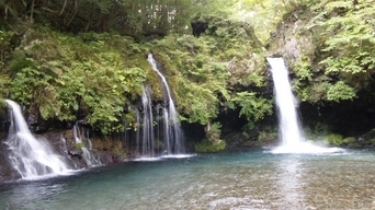 ���傤�̃f�L�S�g