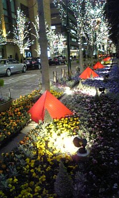 ���傤�̃f�L�S�g