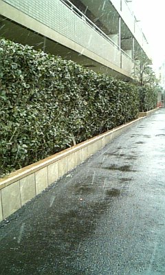 ���傤�̃f�L�S�g