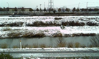 ���傤�̃f�L�S�g