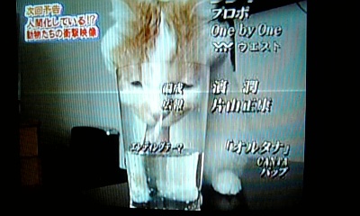 ���傤�̃f�L�S�g