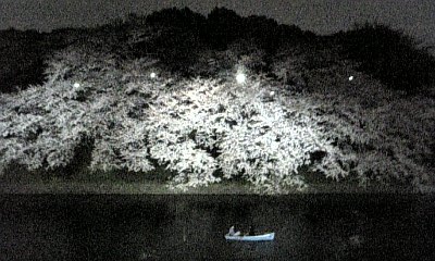 ���傤�̃f�L�S�g