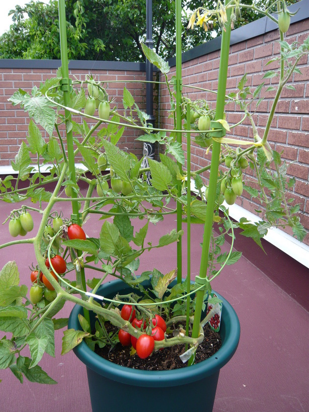 �����u�Ɨ����ĊJ���܂�