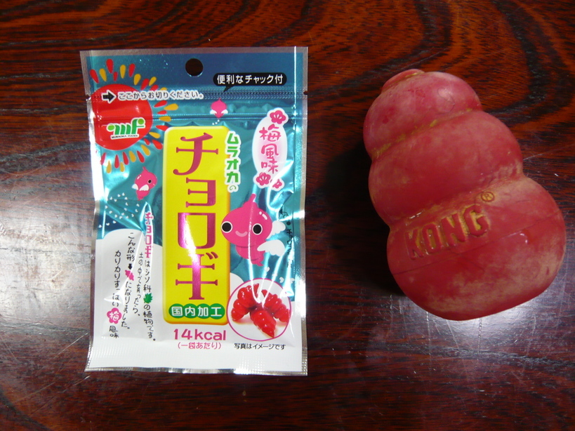 �����u�Ɨ����ĊJ���܂�