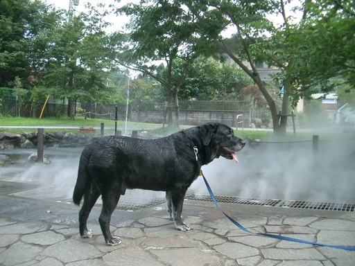 �����u�Ɨ����ĊJ���܂�