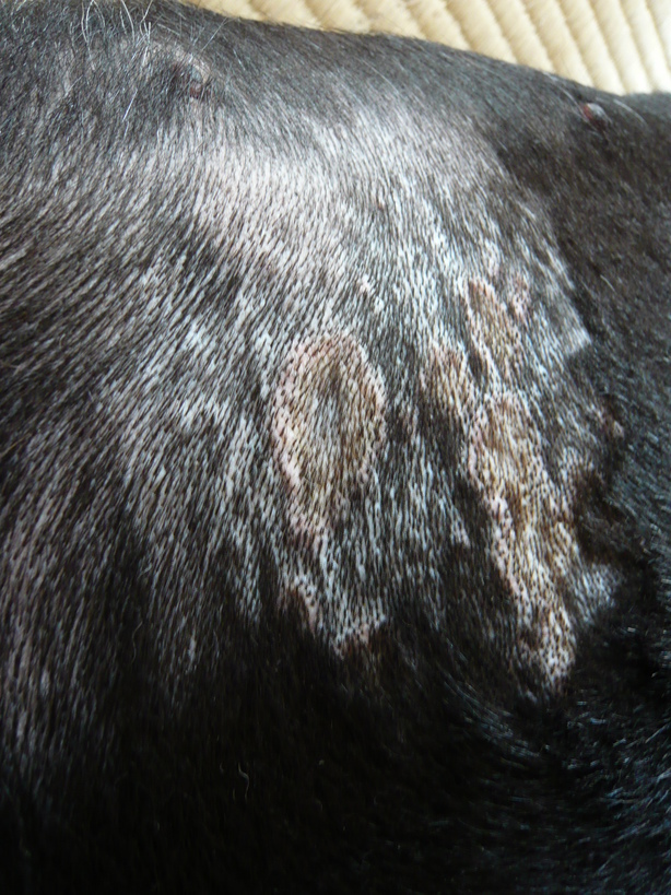 �����u�Ɨ����ĊJ���܂�