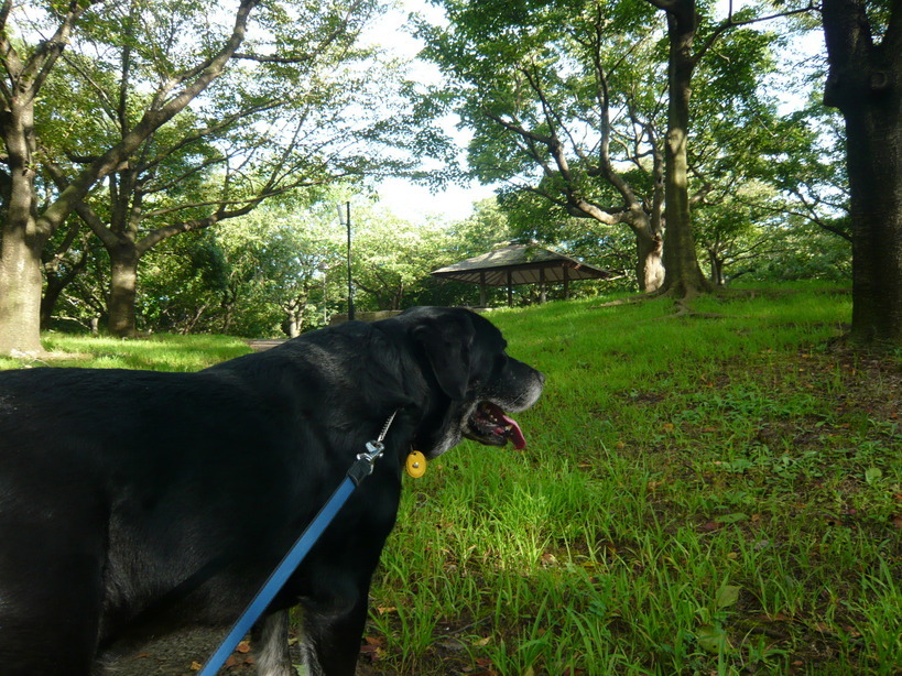 �����u�Ɨ����ĊJ���܂�