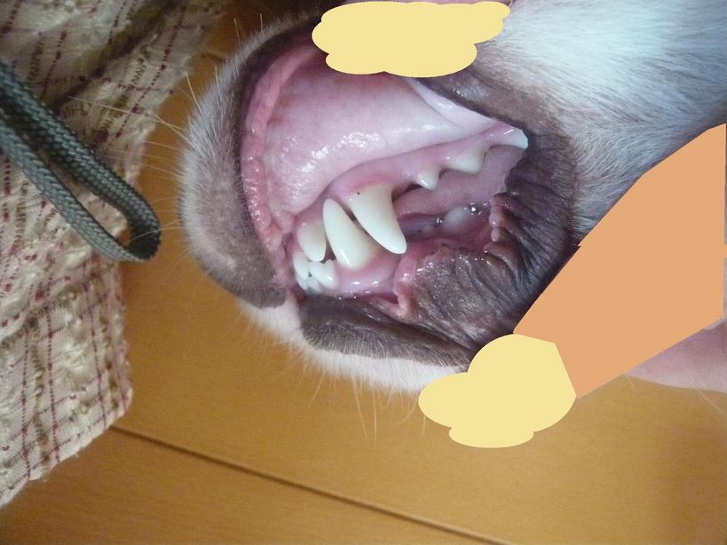 �����u�Ɨ����ĊJ���܂�