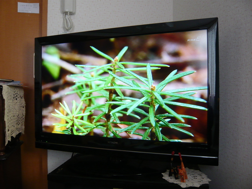 �����u�Ɨ����ĊJ���܂�