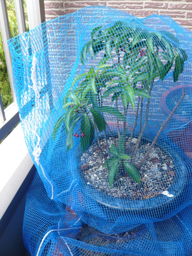 �����u�Ɨ����ĊJ���܂�