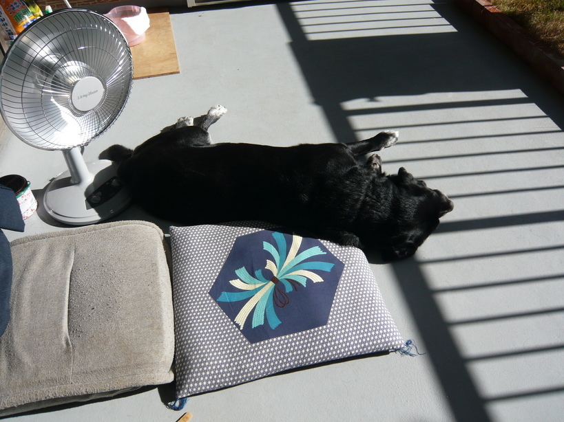 �����u�Ɨ����ĊJ���܂�